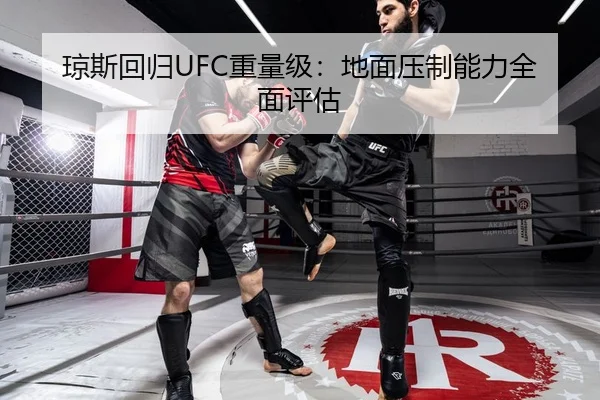 琼斯回归UFC重量级：地面压制能力全面评估