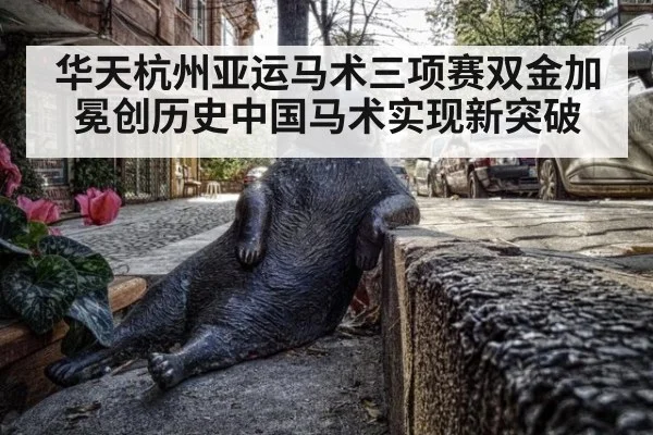华天杭州亚运马术三项赛双金加冕创历史中国马术实现新突破